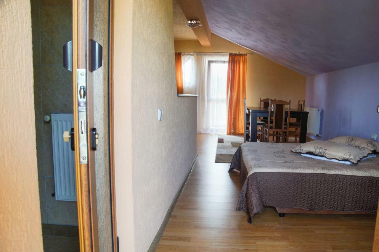 Pensiunea Nicol Hotel Valea Iasului Luaran gambar