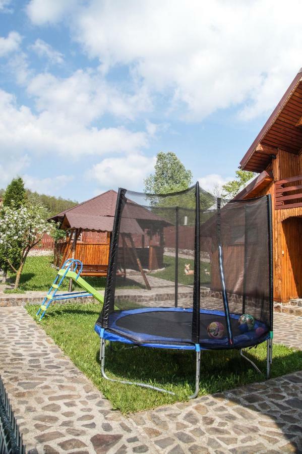 Pensiunea Nicol Hotel Valea Iasului Luaran gambar