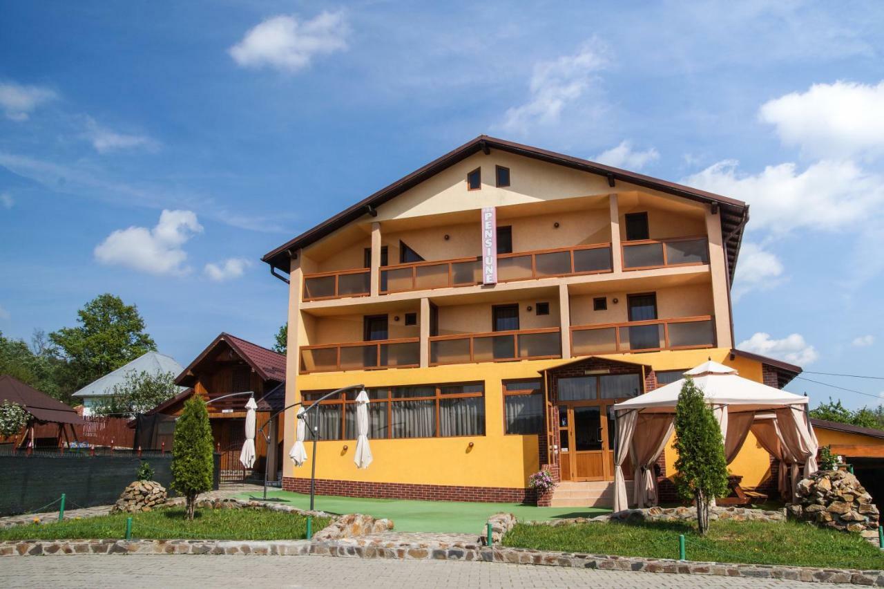 Pensiunea Nicol Hotel Valea Iasului Luaran gambar