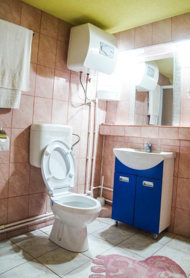 Pensiunea Nicol Hotel Valea Iasului Luaran gambar
