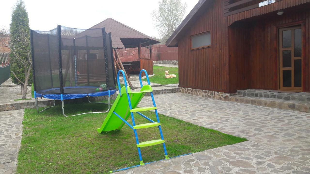 Pensiunea Nicol Hotel Valea Iasului Luaran gambar