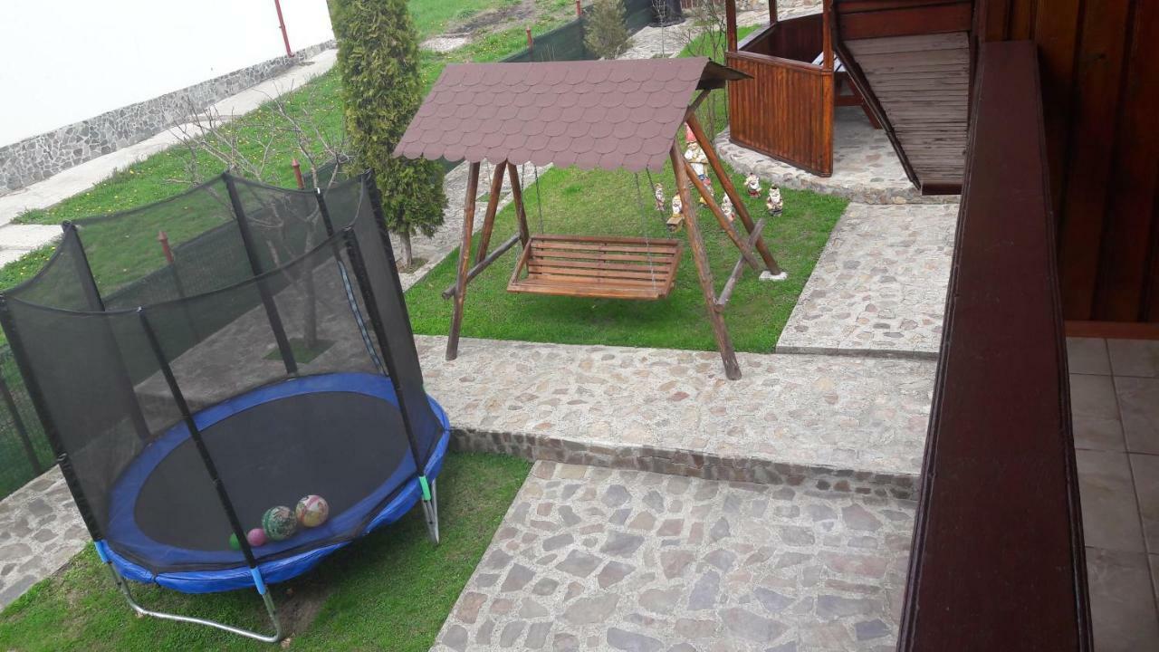 Pensiunea Nicol Hotel Valea Iasului Luaran gambar