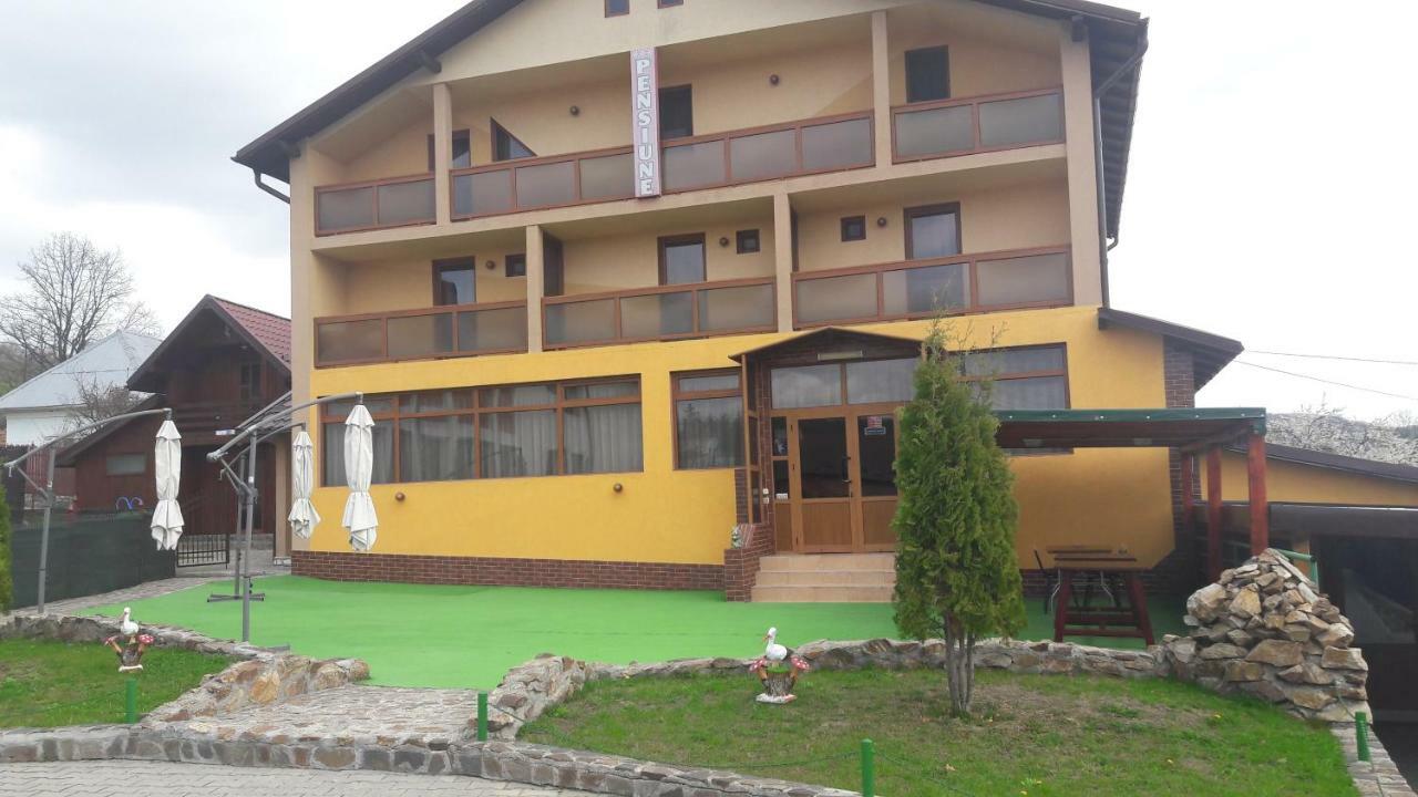 Pensiunea Nicol Hotel Valea Iasului Luaran gambar